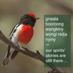 gnaala booroong wangkiny wongi nidja nyiny our spirits` stories are