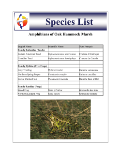 Species List - Oak Hammock Marsh Interpretive Centre