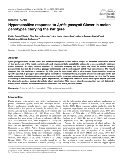 Hypersensitive response to Aphis gossypii