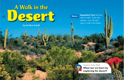 Desert - Pearson SuccessNet