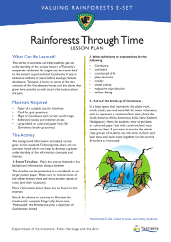Rainforests Through Time