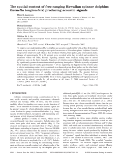 The spatial context of free-ranging Hawaiian spinner dolphins