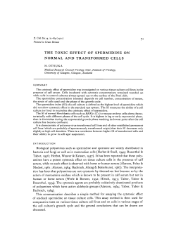the toxic effect of spermidine on normal and transformed cells