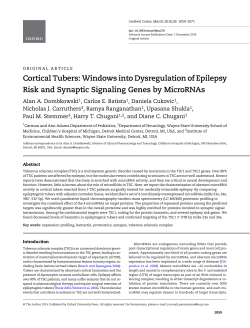 Cortical Tubers: Windows into Dysregulation of