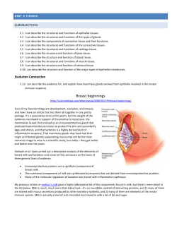 Unit 03 Tissues outline