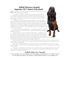 September 2011`s Pet of the Month