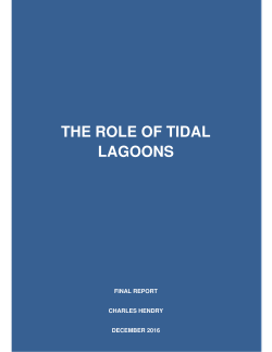 the role of tidal lagoons