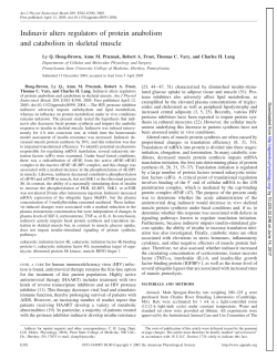 Indinavir alters regulators of protein anabolism and catabolism in