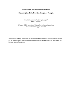 Measuring the Brain: From the Synapse to Thought