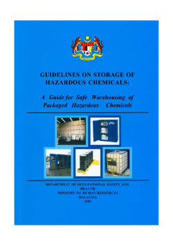 Guidelines on Storage of Hazardous Chemicals