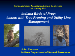 Indiana Birds of Prey: Issues with Tree Pruning and Utility Line