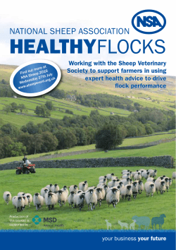 the Healthy Flocks booklet here.