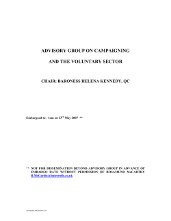 advisory group on campaigning and the voluntary sector