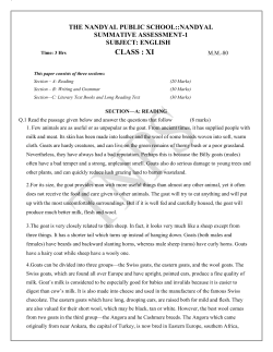 English - Nandyal Public School