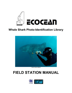 ECOCEAN Whale Shark Photo-identification UNEP MANUAL