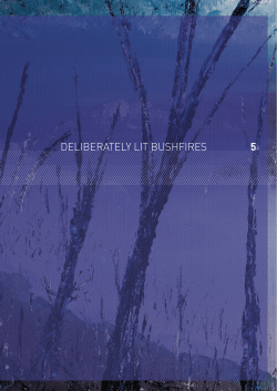 Deliberately lit bushfires - 2009 Victorian Bushfires Royal Commission