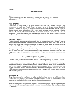 Lesson 2 TREE PHYSIOLOGY Aim Explain tree biology, including