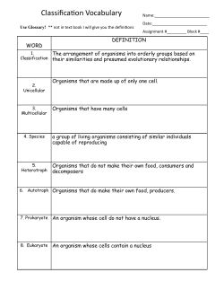 Classification Vocabulary