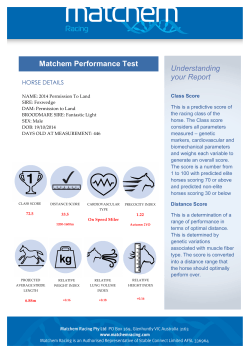 Matchem Genetics Report - Champion Thoroughbreds