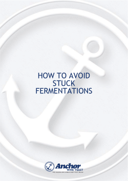 How to Avoid Stuck Fermentations