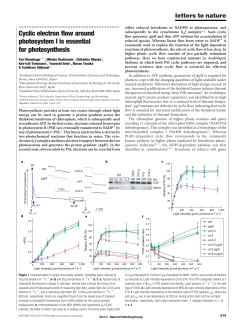 Cyclic electron flow around photosystem I is essential for