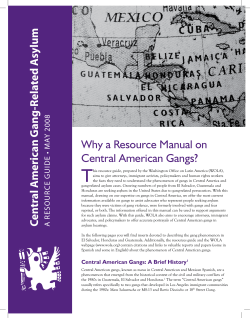 Central American Gang-Related Asylum