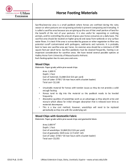 Horse Footing Materials