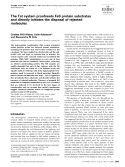 The Tat system proofreads FeS protein