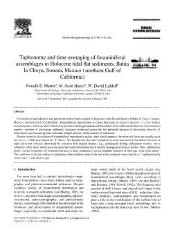Taphonomy and time-averaging of foraminiferal assemblages in
