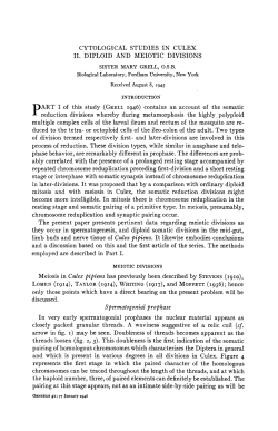 CYTOLOGICAL STUDIES IN CULEX 11. DIPLOID AND MEIOTIC