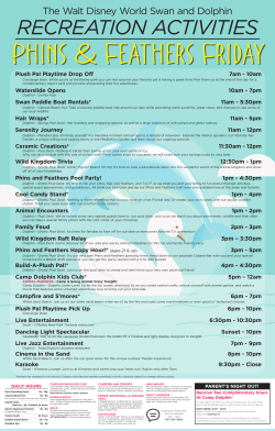 Friday - Swan and Dolphin