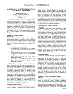 spay / neuter complications and how