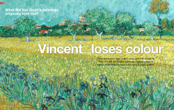 Experiment NL 2015 | Vincent loses colour