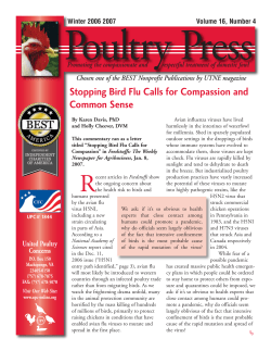 Stopping Bird Flu Calls for Compassion and Common Sense