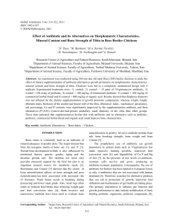 Effect of Antibiotic and its Alternatives on Morphometric