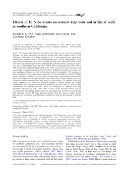 Effects of El Ni&ntilde;o events on natural kelp beds and artificial reefs in