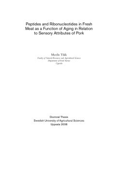 Peptides and Ribonucleotides in Fresh Meat as a Function of Aging