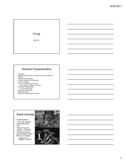 Fungi General Characteristics Great diversity