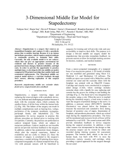 3-Dimensional Middle Ear Model for Stapedectomy