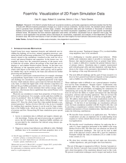 FoamVis: Visualization of 2D Foam Simulation Data