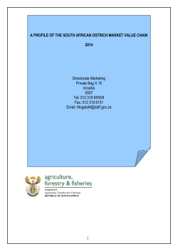 ostrich market value chain profile