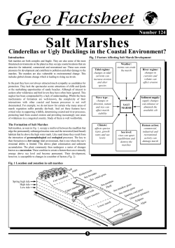 124 Salt Marshes - SLC Geog A Level Blog