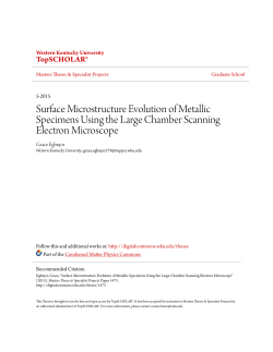 Surface Microstructure Evolution of Metallic - TopSCHOLAR