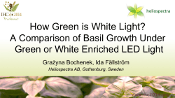 How Green is White Light?
