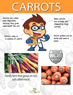 Family farm that grows on rich soil called muck!