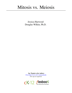 Mitosis vs. Meiosis