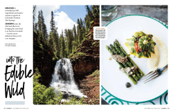 dorado - Dunton Life