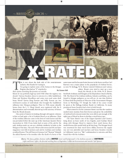 DAVENPORT ARABIANS - American Morgan Horse Association