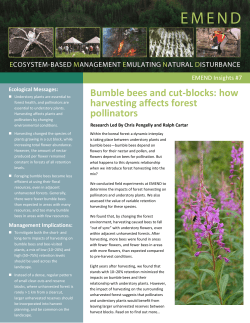 Bumble bees and cut-blocks: how harvesting affects forest pollinators