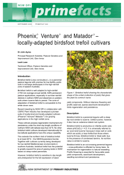 Phoenix, Venture and Matador birdsfoot trefoil